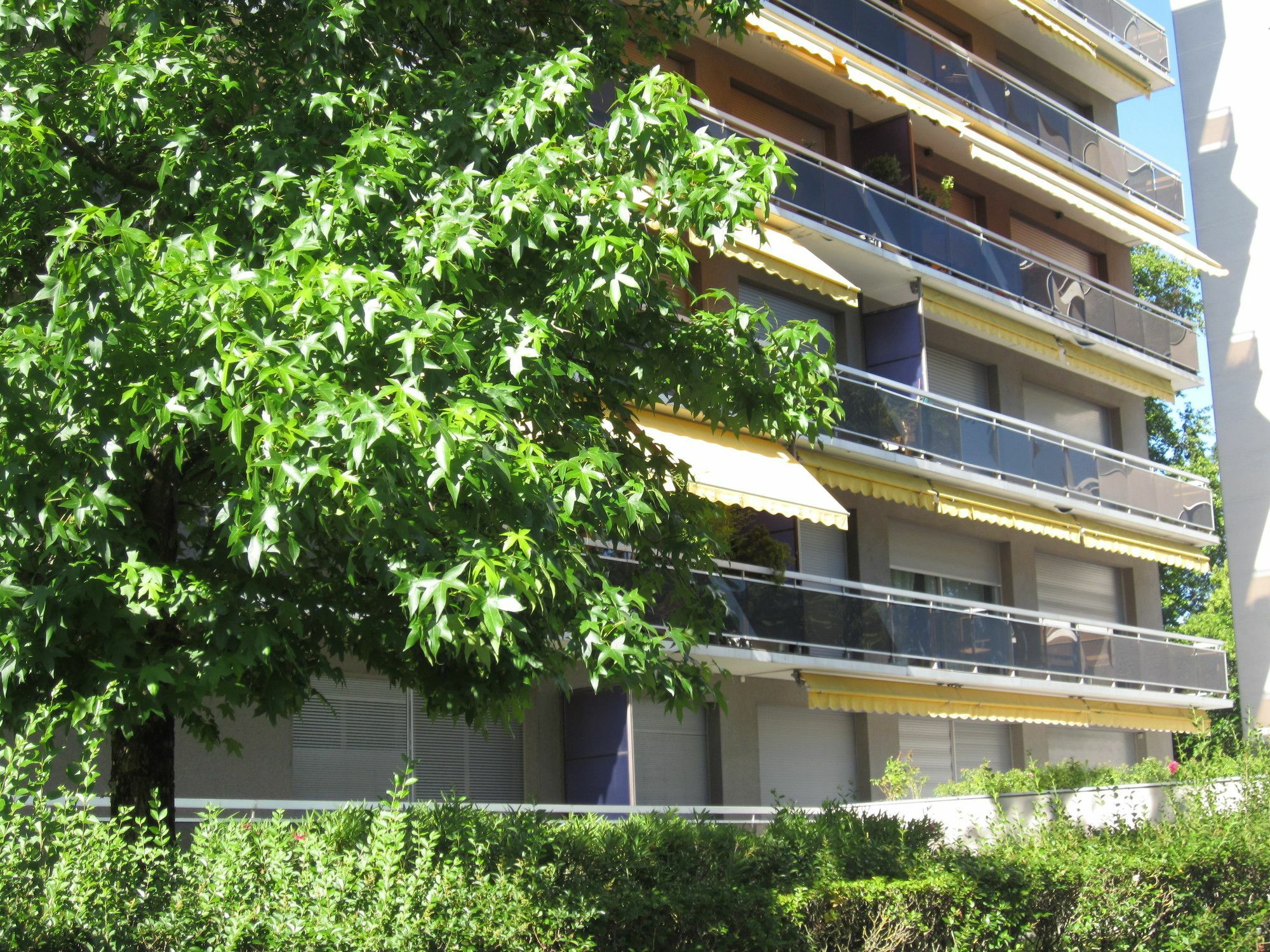 Appartement Le Rohan Parc Bordelais Bordeaux Kültér fotó
